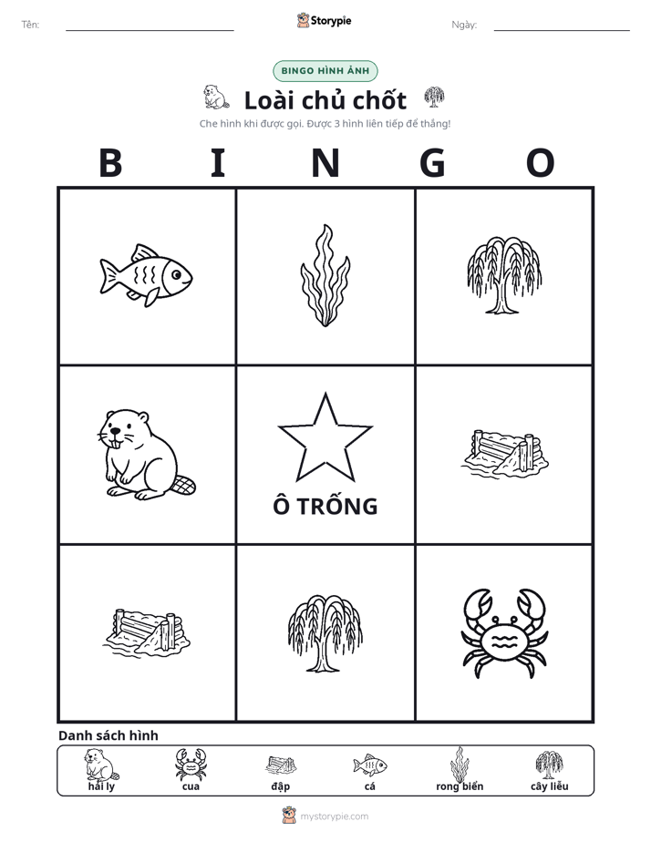 Bingo Hình Ảnh