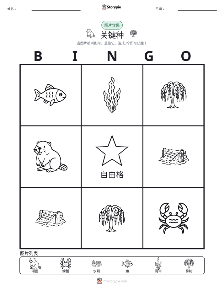 图片宾果