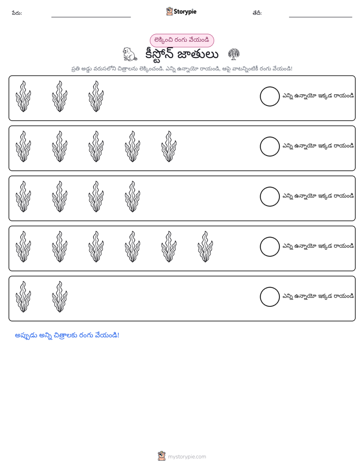 ఎన్నిక & రంగు