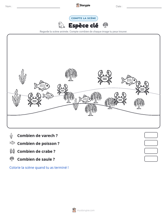 Scène de Comptage