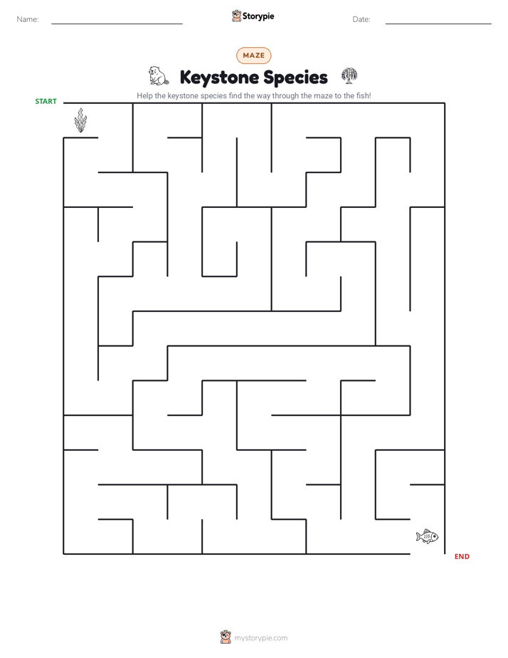 Maze