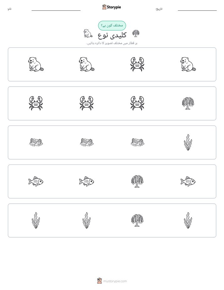 عجیب ایک