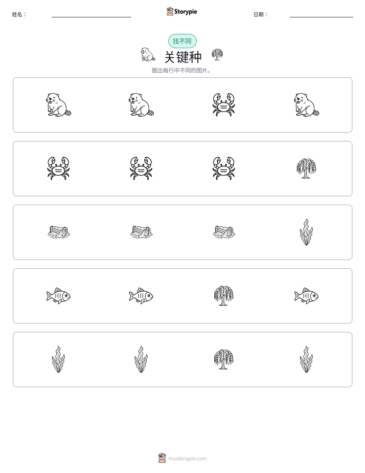 找不同