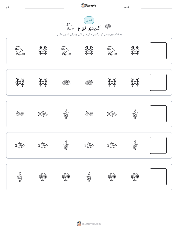 پیٹرن