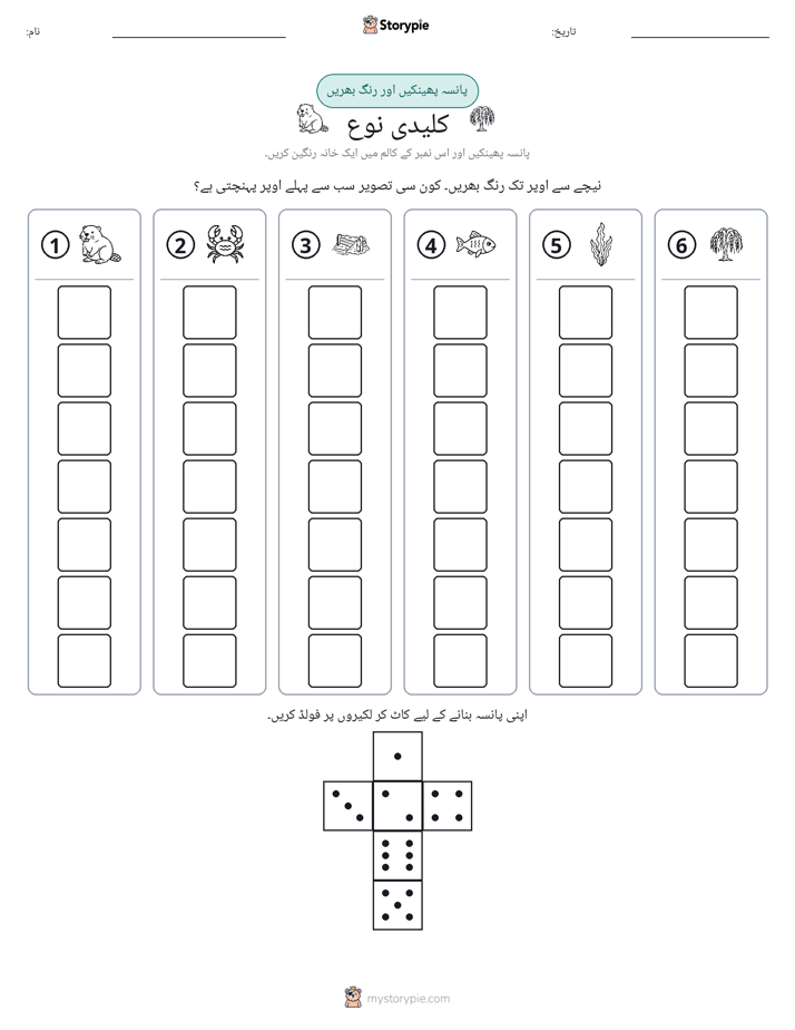 رول اور رنگ