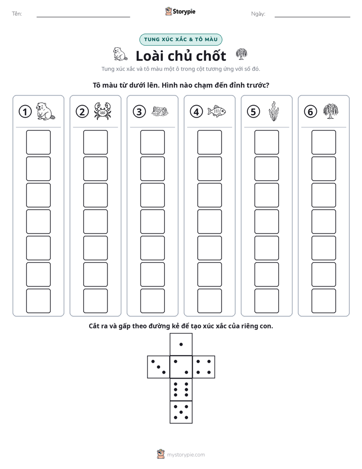 Cuộn & Tô Màu