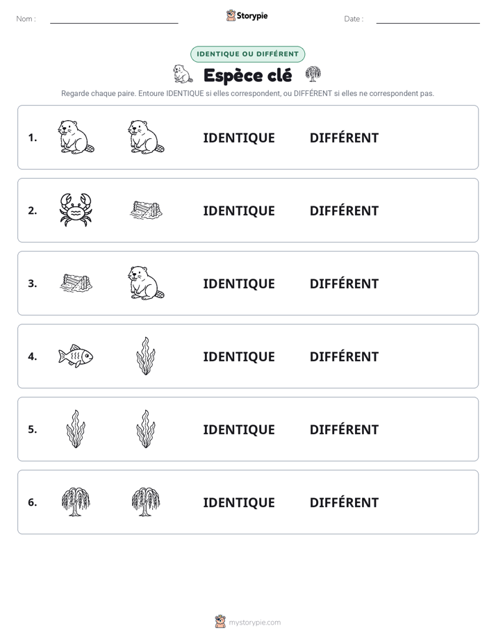 Identique ou Différent