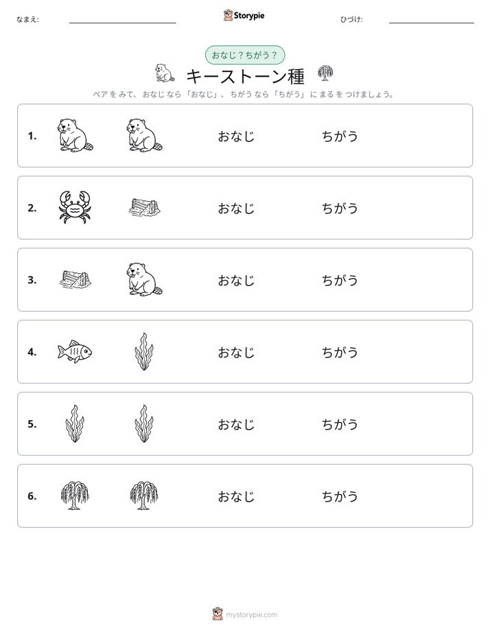 同じか違うか