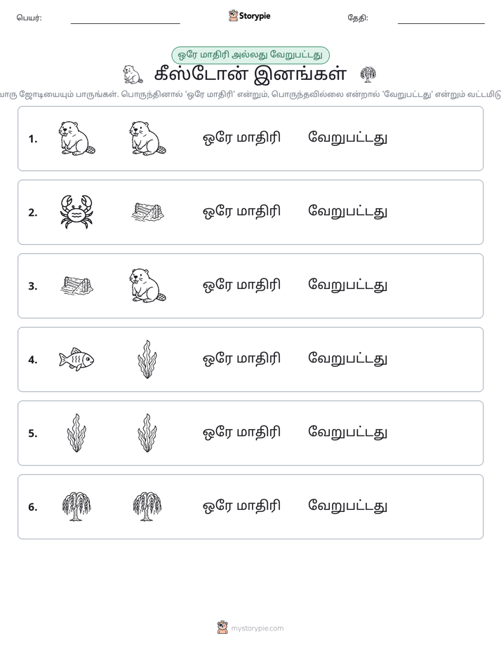 அதே அல்லது மாறுபட்டது