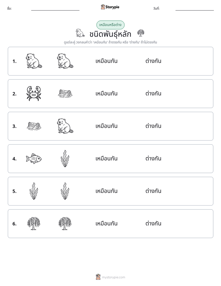 เหมือนหรือแตกต่าง