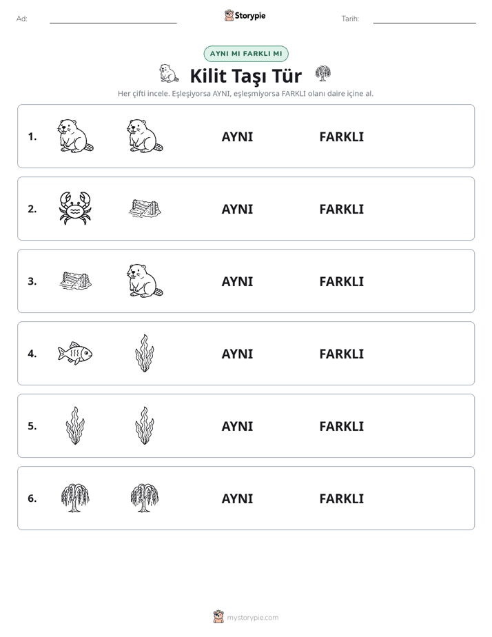 Aynı mı Farklı mı