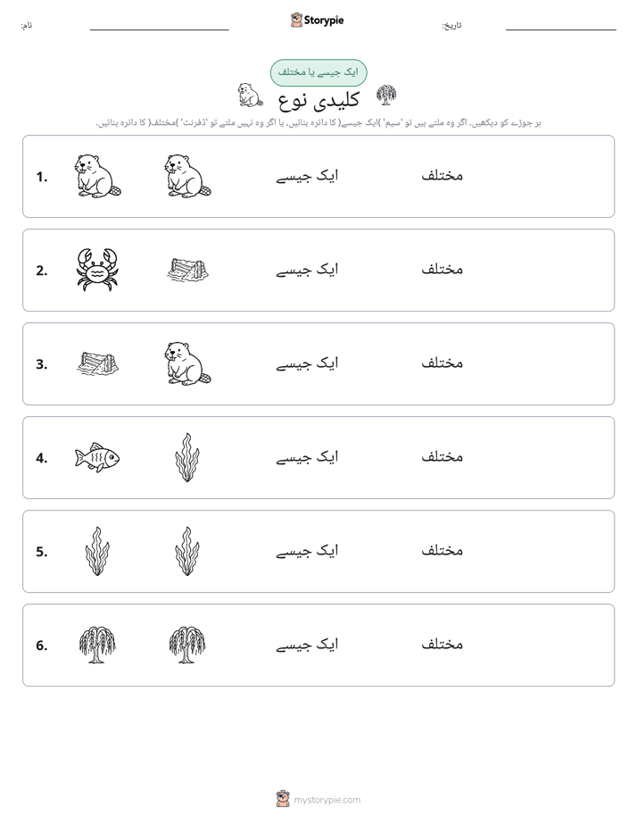 ایک جیسا یا مختلف