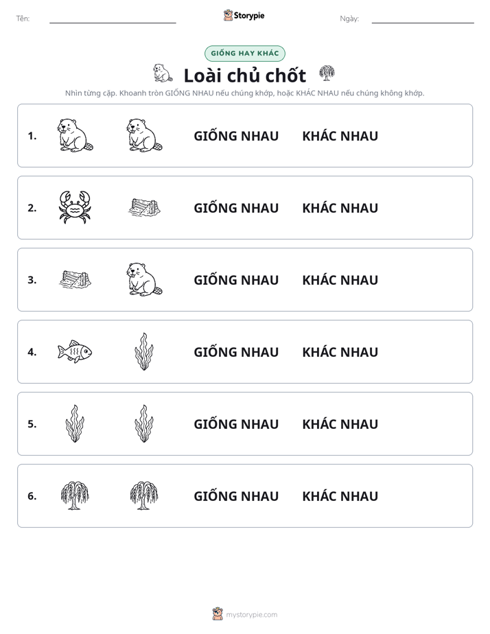 Giống Hay Khác