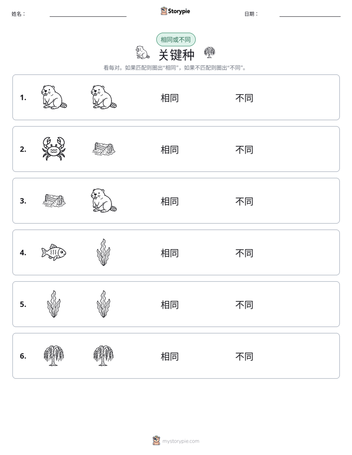 相同或不同