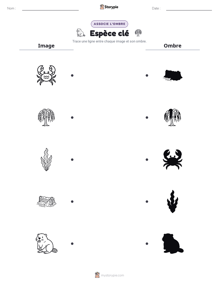 Correspondance d'Ombres