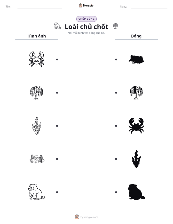 Ghép Hình Bóng