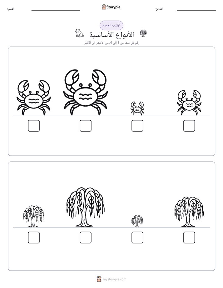 ترتيب الحجم