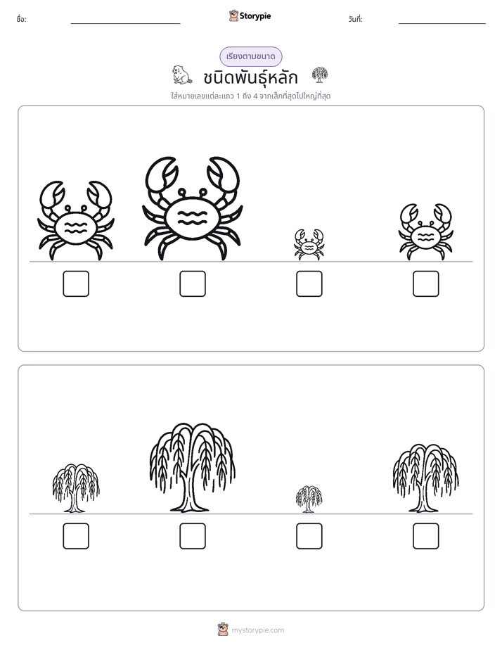 ลำดับขนาด