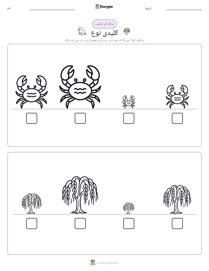سائز کی ترتیب