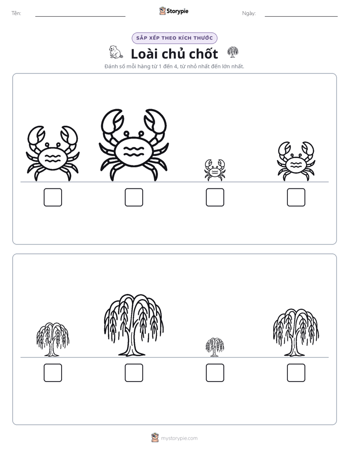 Thứ Tự Kích Thước