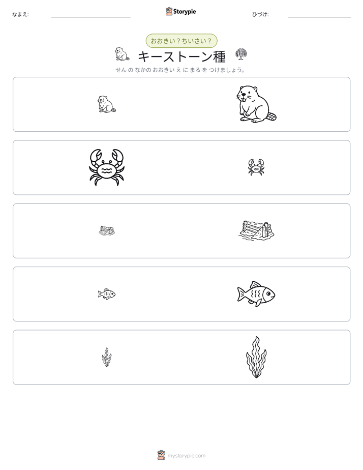 ソーティング