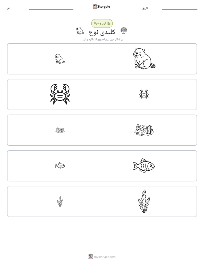 ترتیب دینا
