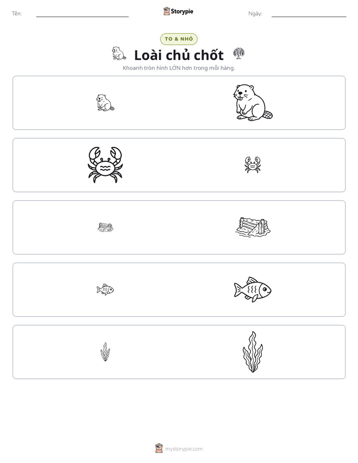 Phân Loại