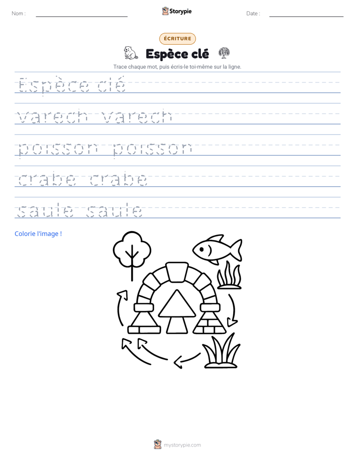 Pratique d'écriture