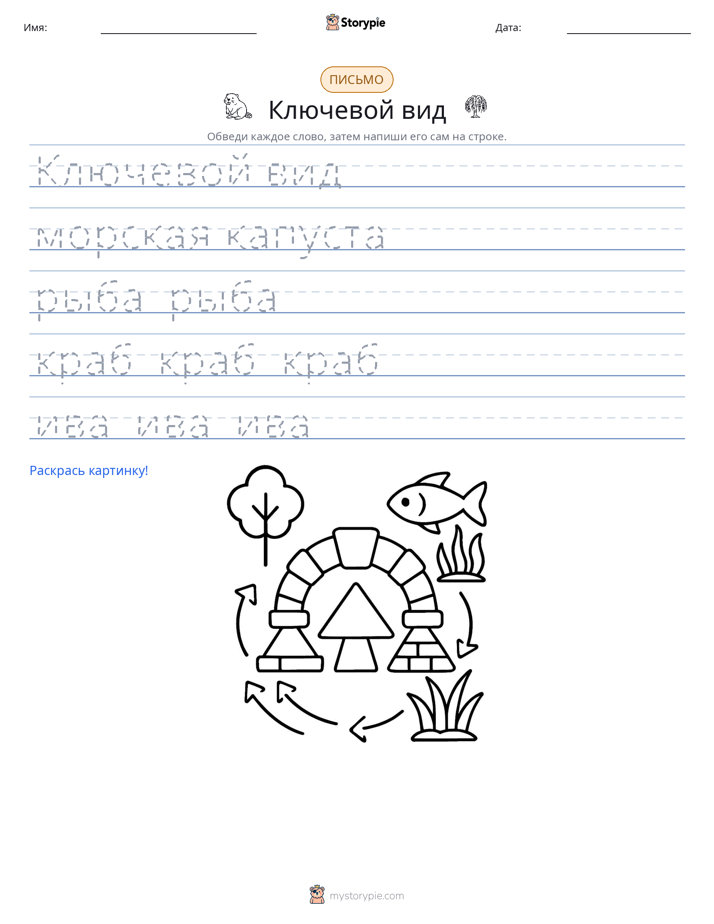 Практика письма