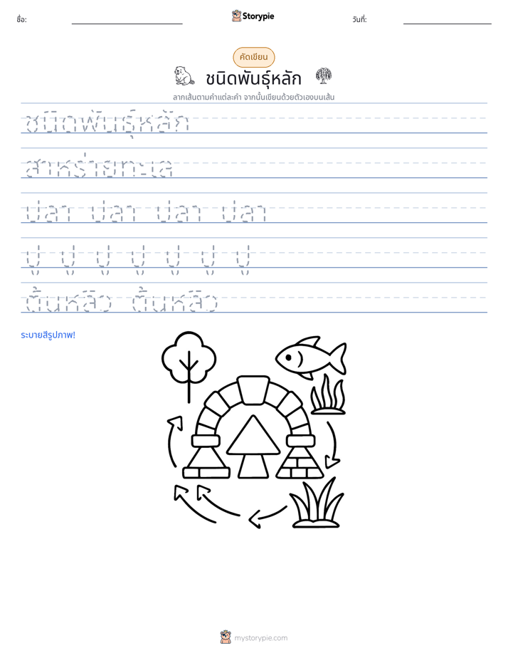 การฝึกเขียน