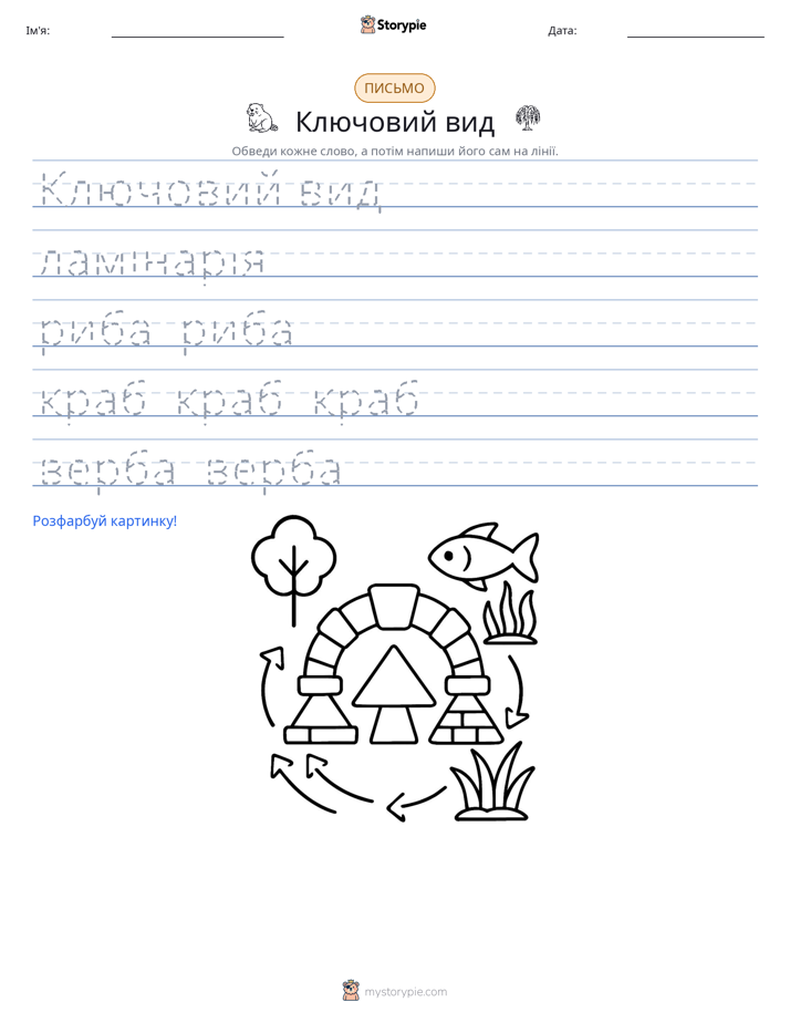 Практика письма