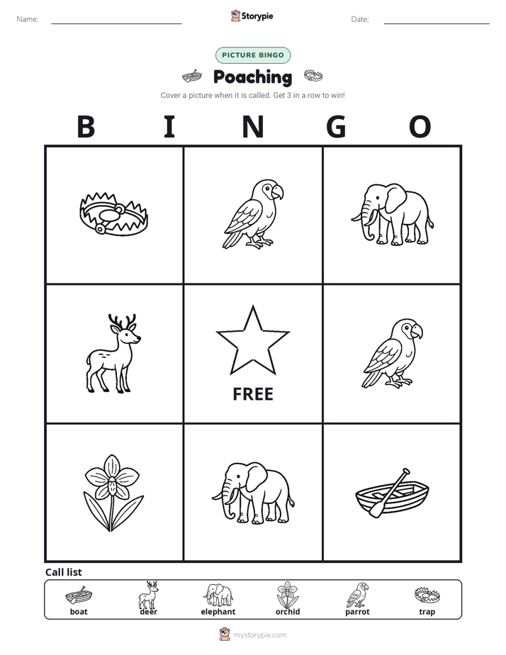 Picture Bingo