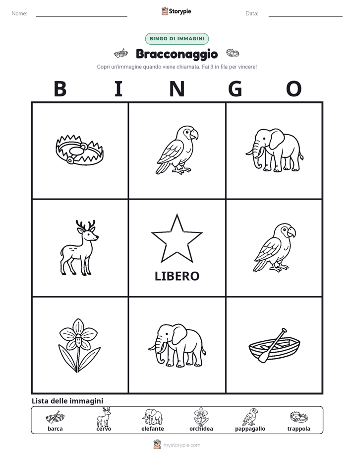 Bingo delle Immagini
