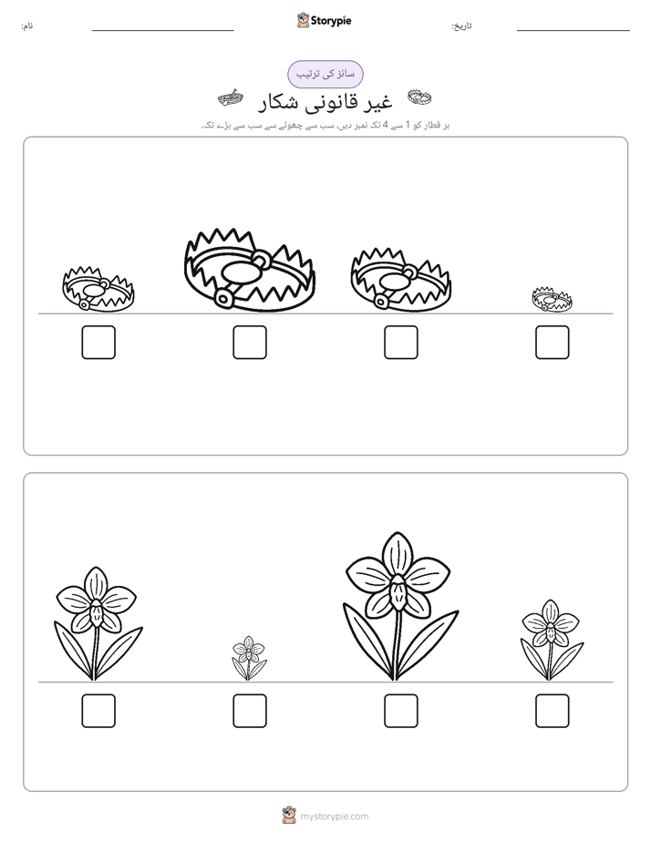 سائز کی ترتیب