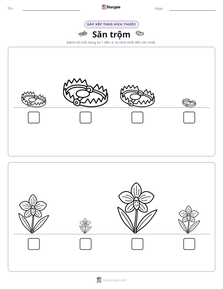 Thứ Tự Kích Thước