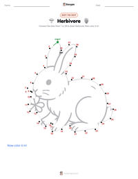 Herbivore printable worksheet preview