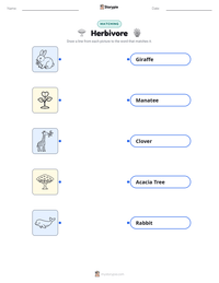 Herbivore printable worksheet preview