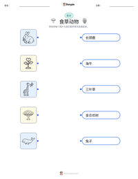 食草动物 可打印工作表预览