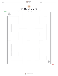 Herbivore printable worksheet preview