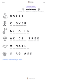 Herbivore printable worksheet preview