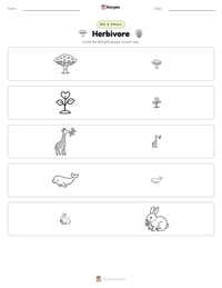 Herbivore printable worksheet preview