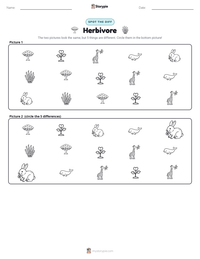Herbivore printable worksheet preview