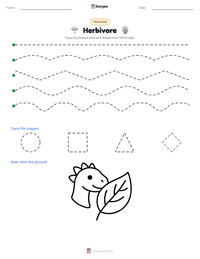 Herbivore printable worksheet preview