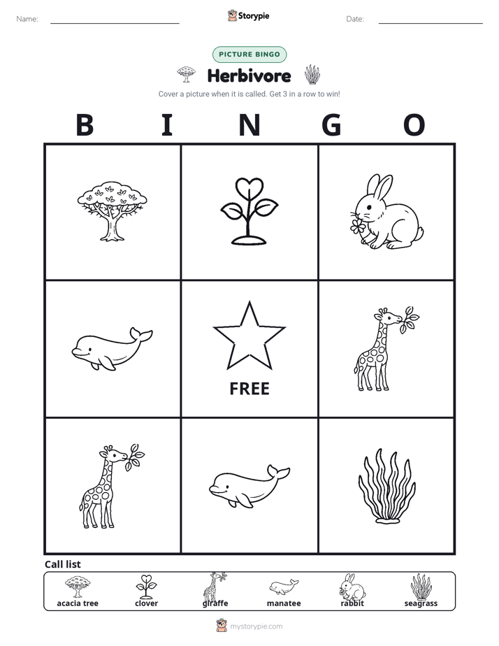Picture Bingo
