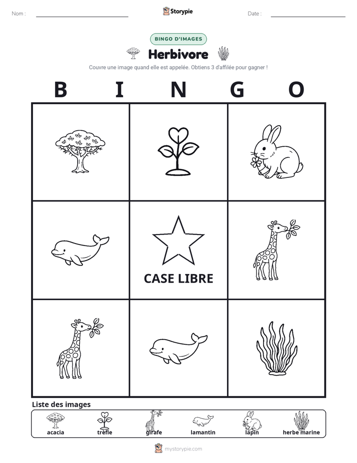 Bingo d'Images