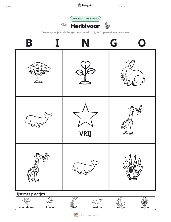 Afbeelding Bingo
