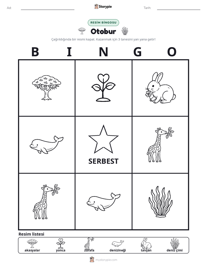 Resim Bingo
