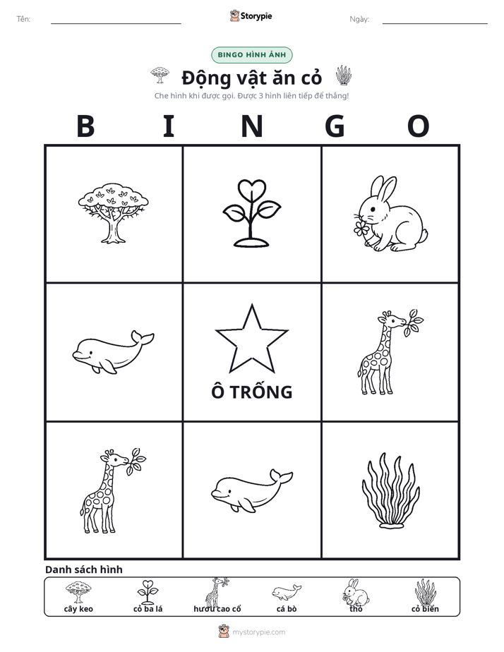 Bingo Hình Ảnh