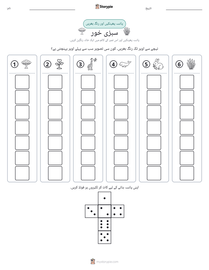 رول اور رنگ