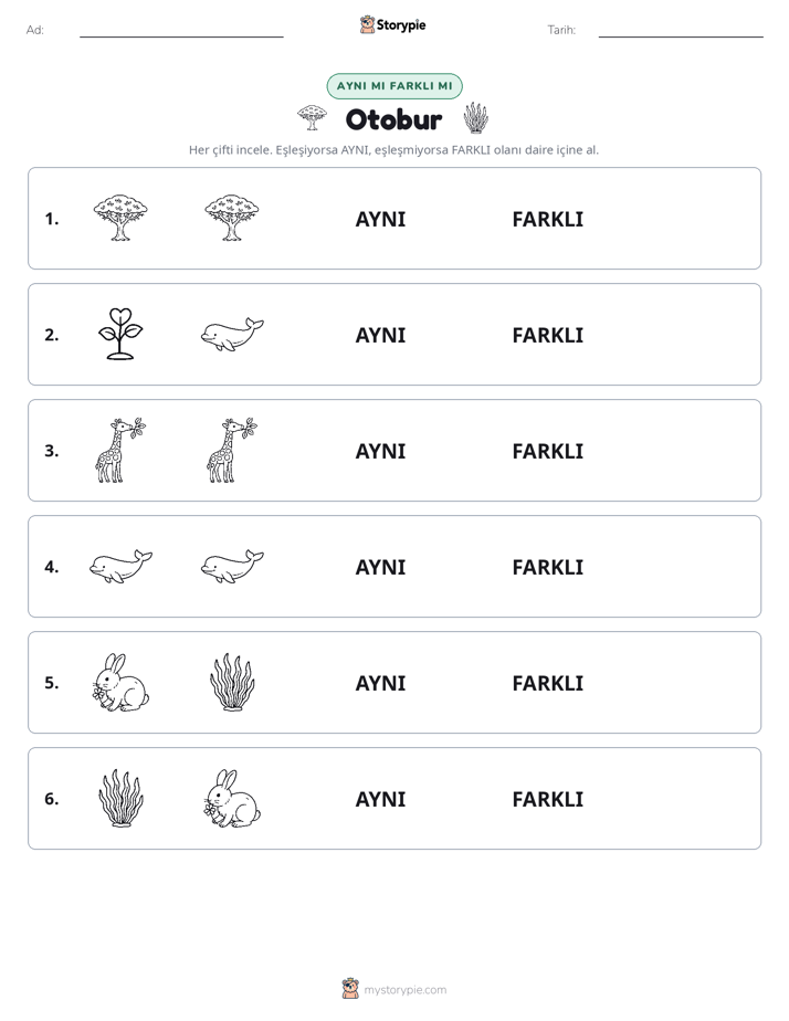 Aynı mı Farklı mı
